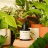 Huile de Neem - insecticide naturel Huile de Neem - insecticide naturel