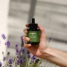 Sérum nourrissant - Plantes Vertes Sérum nourrissant - Plantes Vertes