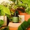 Sérum nourrissant - Plantes Vertes Sérum nourrissant - Plantes Vertes