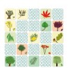 Mémory L'Arbre et sa Feuille Mémory L'Arbre et sa Feuille