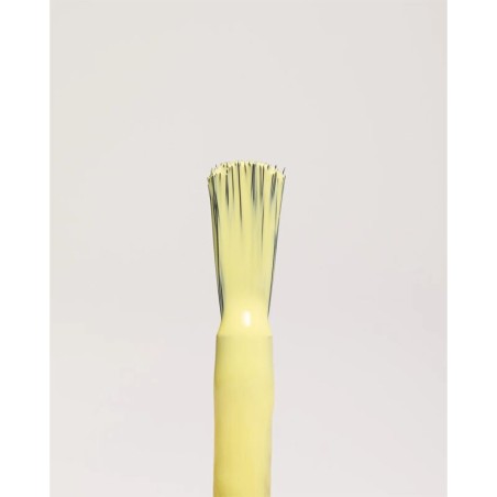 Vernis Jaune Pale / Ivine