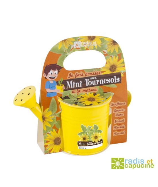 Mini arrosoir Jaune graine de Tournesol