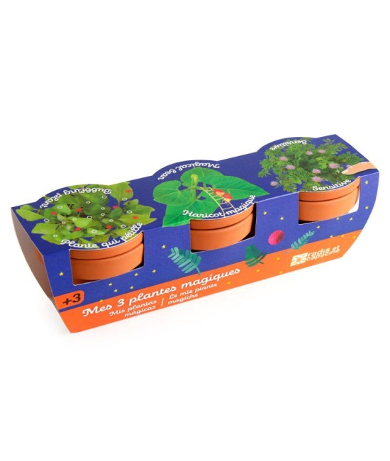 Trio 3 pots plantes magiques
