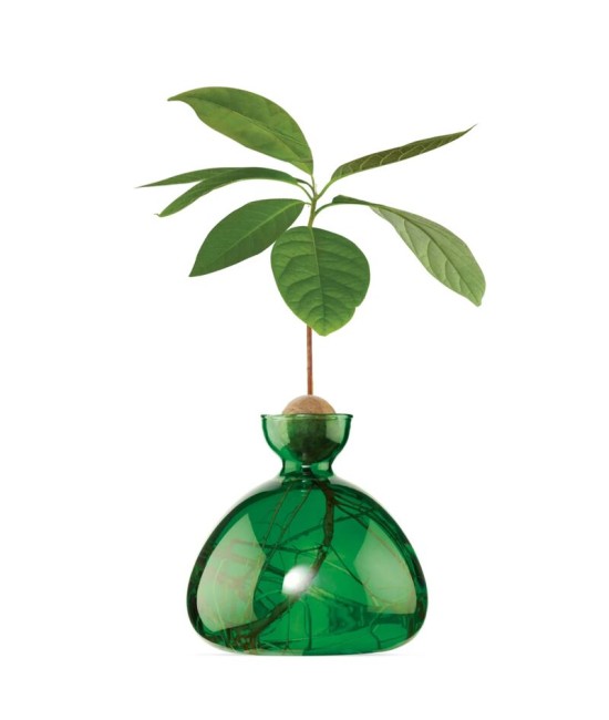 Avocado Vase - Vert foncé