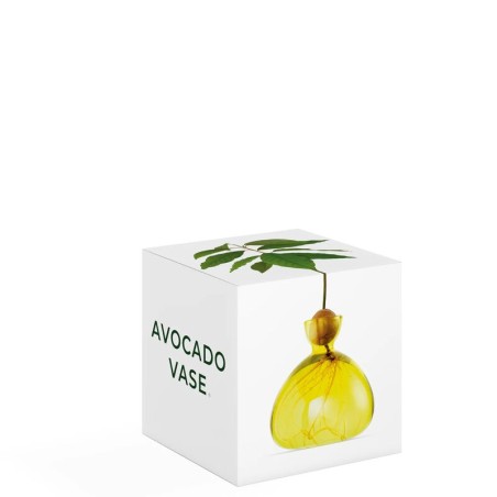 Avocado Vase - Jaune