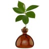 Avocado Vase - Marron Avocado Vase - Marron