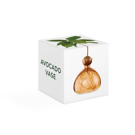 Avocado Vase - Orange clair