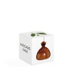 Avocado Vase - Marron Avocado Vase - Marron