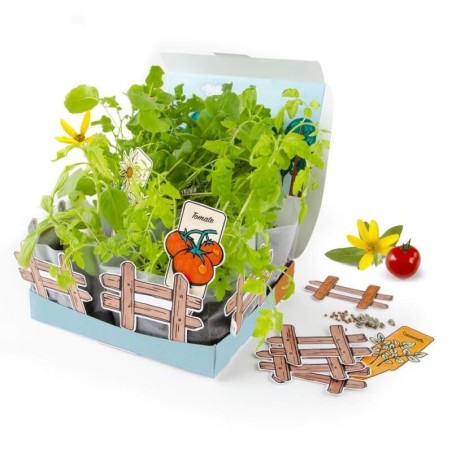 Atelier jardinage enfant Mini Potager