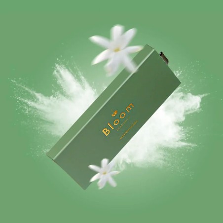 Coffret d'encens Dragonfly