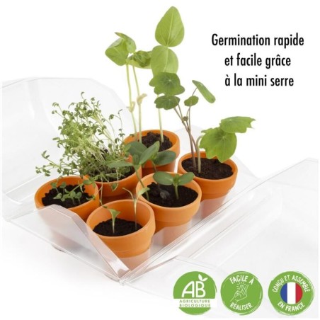 Mini Serre de jardinage enfant