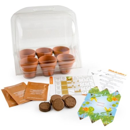Mini Serre de jardinage enfant