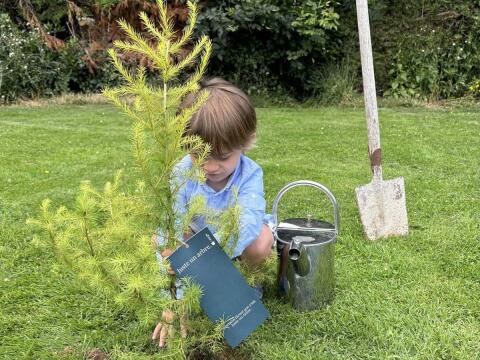 Juste un Arbre - Un cadeau qui traverse les générations