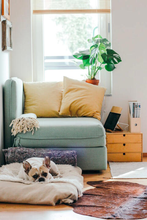 Maison & Art de vivre