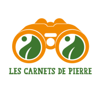 Les Carnets de Pierre