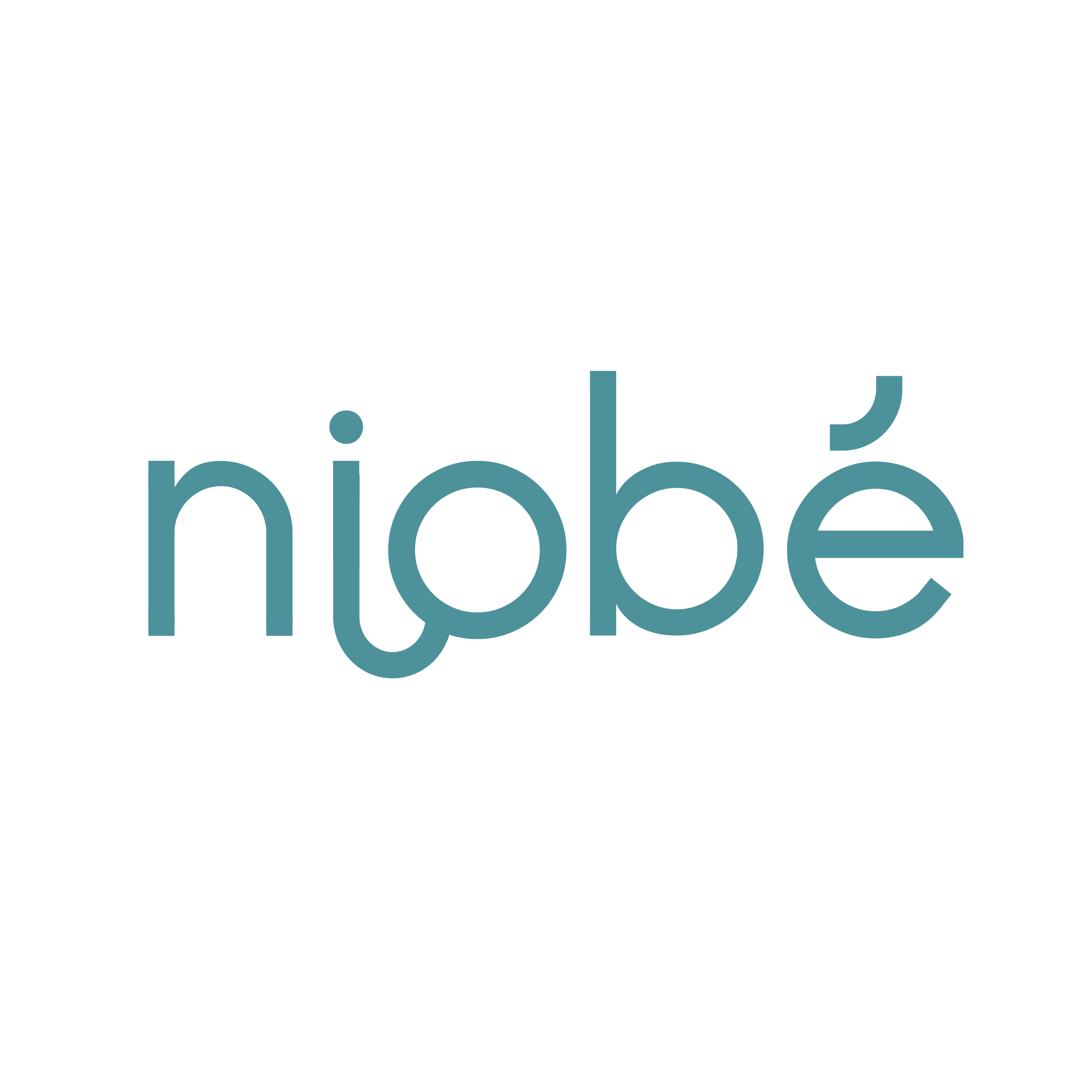 NIOBE - BOX EPARGNE logo
