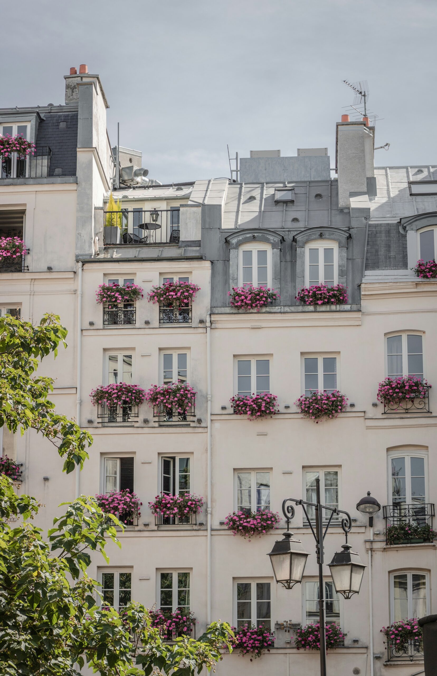 L’art de jardiner en milieu urbain